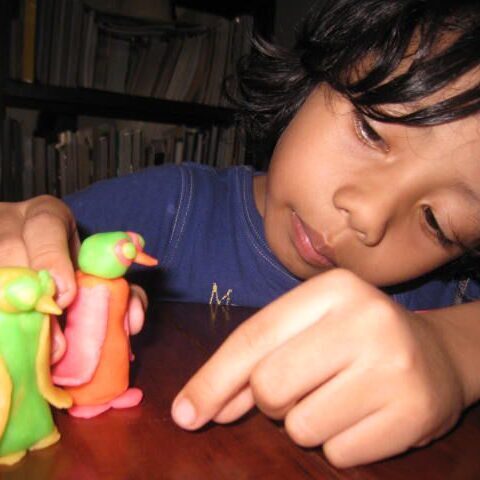 Clay Activity